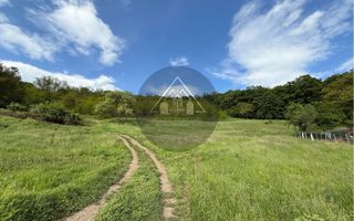 Teren de casa cu PUZ, Mosnei - Poză 3