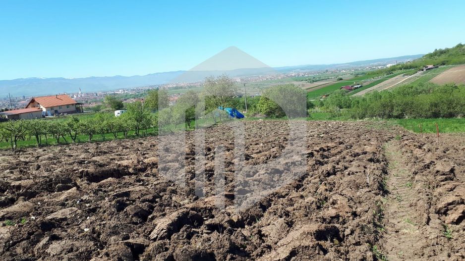 Teren de Vanzare - Gusterita - 5100mp - Intravilan - 0% Comision - Poză 1