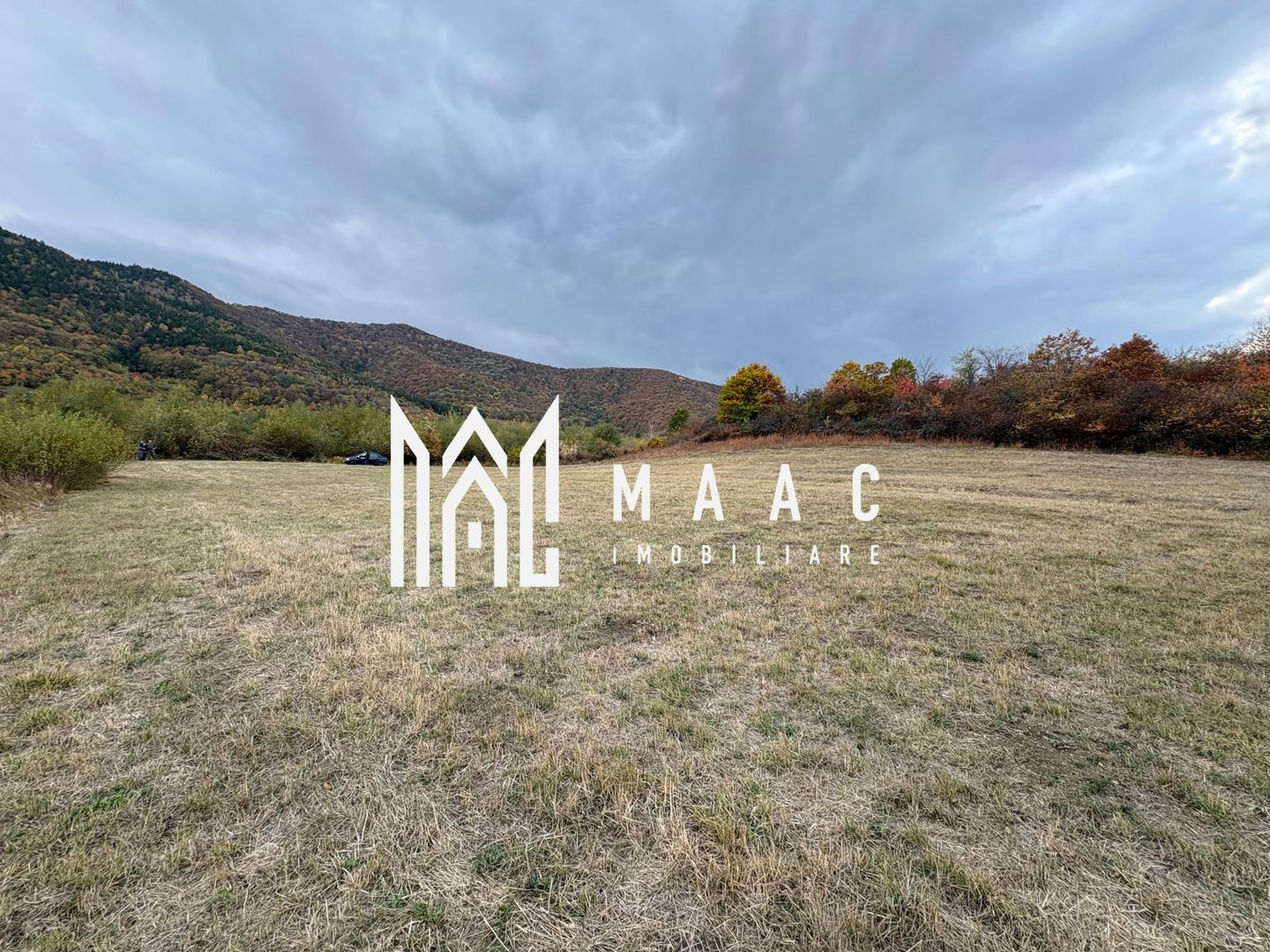 Teren de vânzare 5.000 mp | Poplaca | lângă pădure - Poză 2