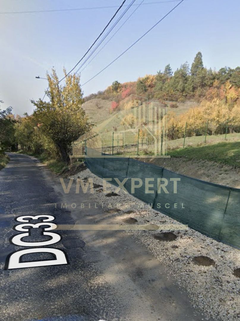 TEREN INTRAVILAN 832 MP VALEA ROMANEȘTILOR CAMPULUNG ARGEȘ - Poză 3