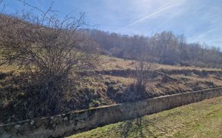 Teren extravilan,  zona si priveliste superba, Cuvin - Poză 3