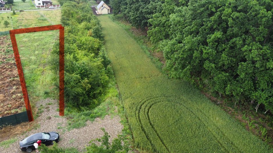 Teren superb Moara Vlasiei - langa padure (COMISION ZERO) - Poză 5