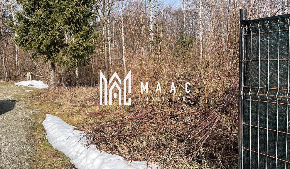 Teren 744 mp I Intravilan I Valea Avrigului - Poză 4