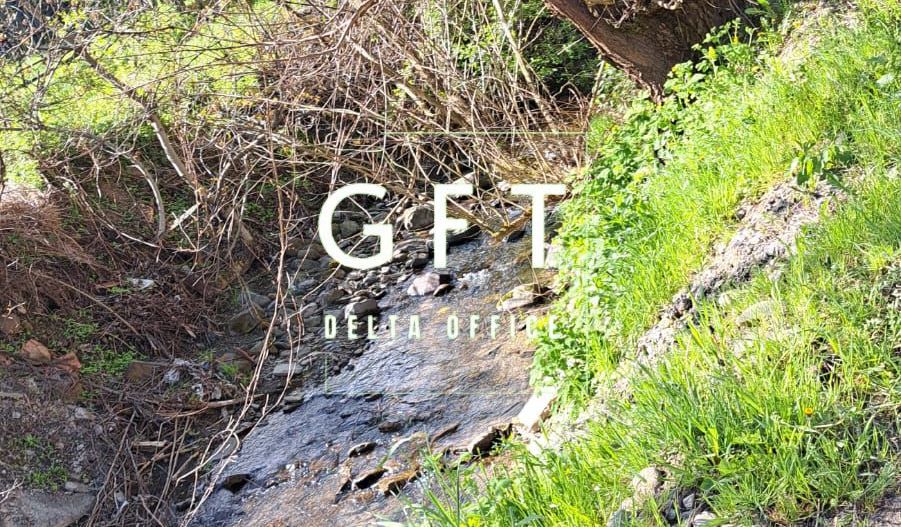 Teren extravilan de vanzare, Bistrita Bargaului- 10 minute de Colibita - Poză 4