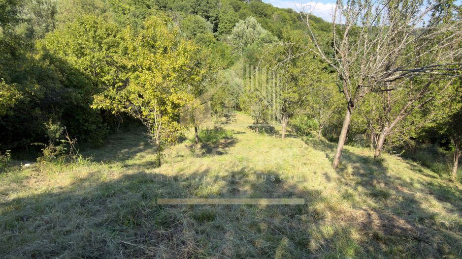 TEREN 3200 MP GODENI ARGEȘ - Poză 21