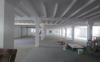 Hala depozitare, productie Bodrogului Aeroport Arad Autostrada A1 - Poză 7