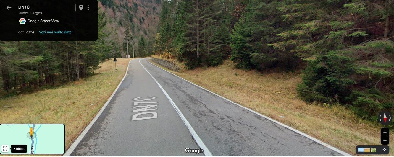 TEREN EXTRAVILAN PADURE PISCUL NEGRU ARGES - Poză 2