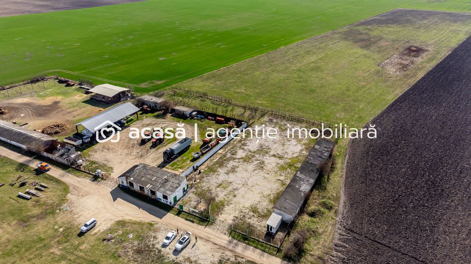 Teren intravilan cu potential multiplu in Horia - Poză 6