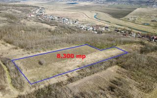 TEREN extravilan 8.300 mp, VASLUI - zona BRODOC; - Poză 2