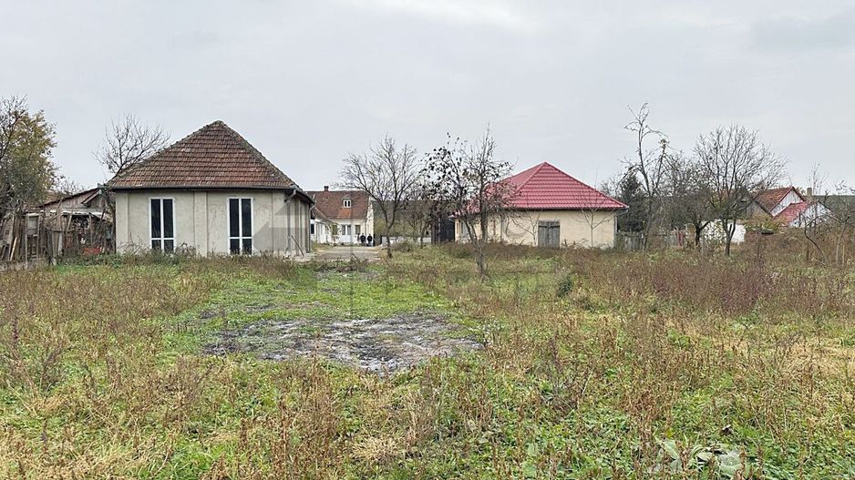 Casa cu 3 Hale si teren 8000 mp in Ulileacu de Cris, Bihor - Poză 14
