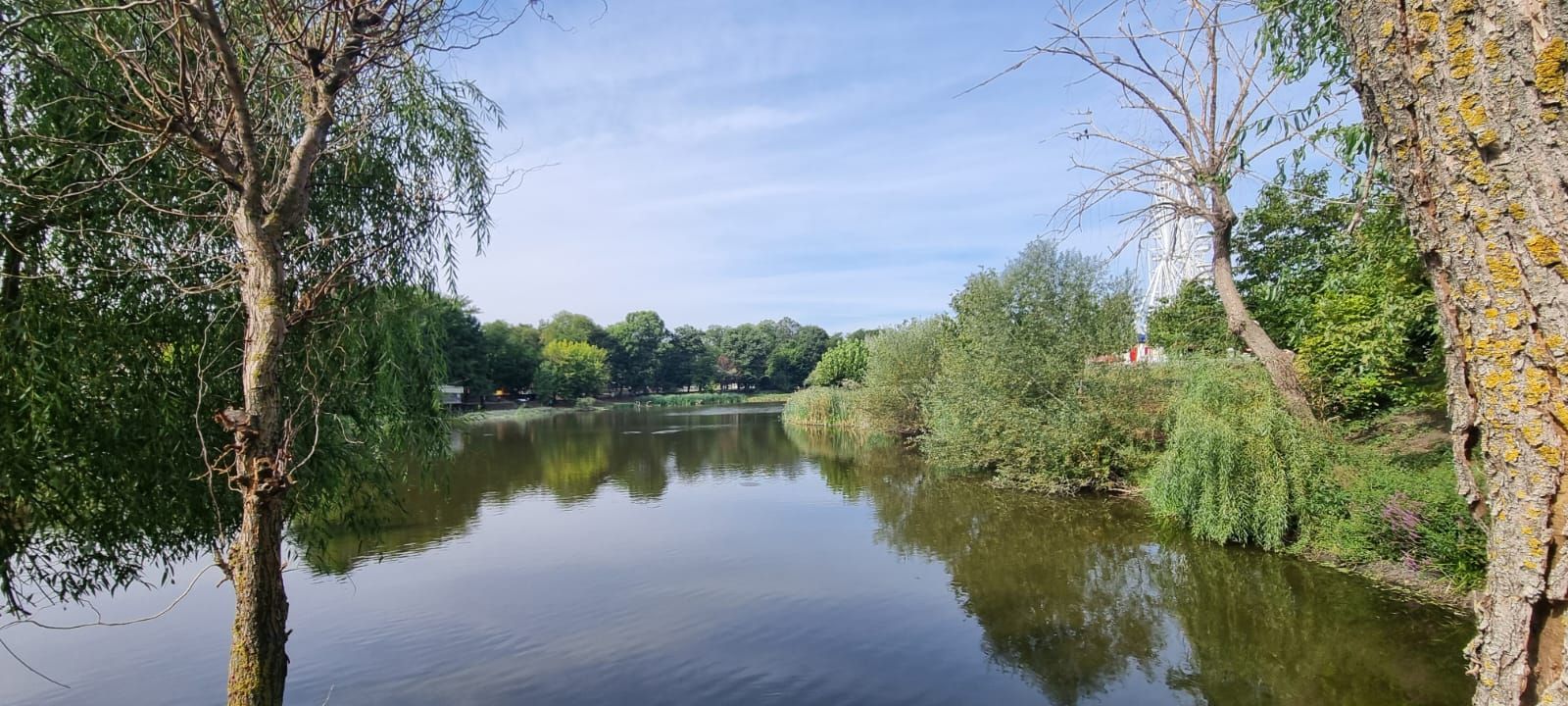Teren 2000 mp de vânzare – Comana, deschidere la lac, aproape de Parcu - Poză 10
