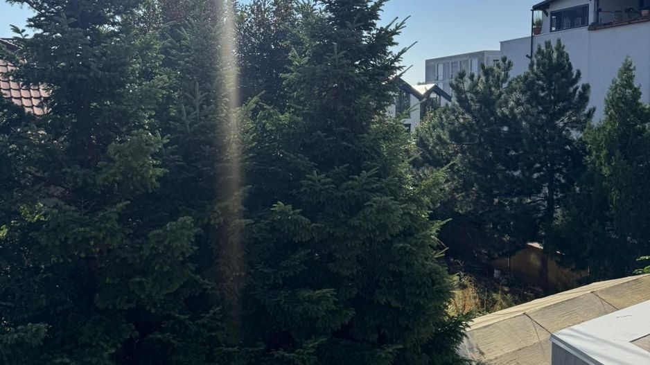 Confortul unei case, siguranta unui bloc! 113 utili lux - Poză 6