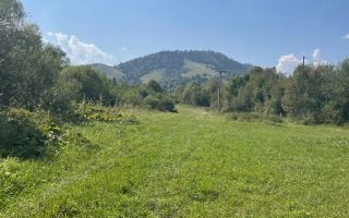 Teren de vânzare, 2.500 mp, Prisaca Dornei, zona Hurghiș, Câmpulung Moldovenesc - Poză 5