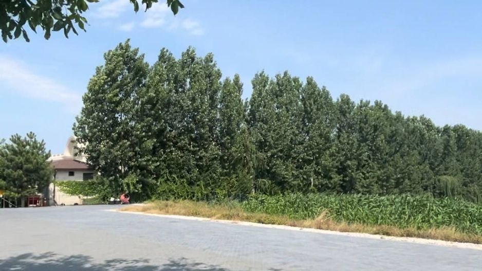 Teren de vânzare, 53 ari, prima linie - Poză 5