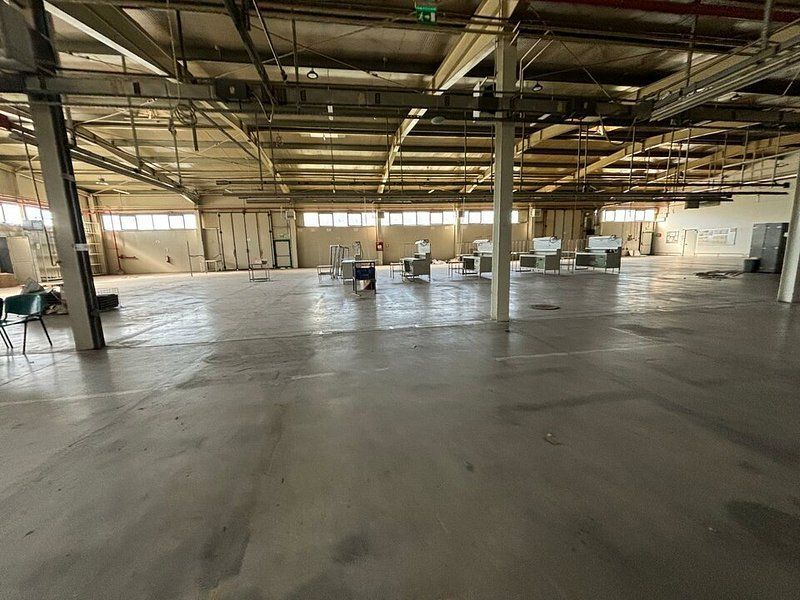 Hala 5000 mp dotata pentru productie si depozitare ISU categoria D - Poză 5