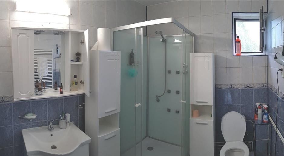 Vila spatioasa Bucurestii Noi | 2 Cocoși - Poză 8