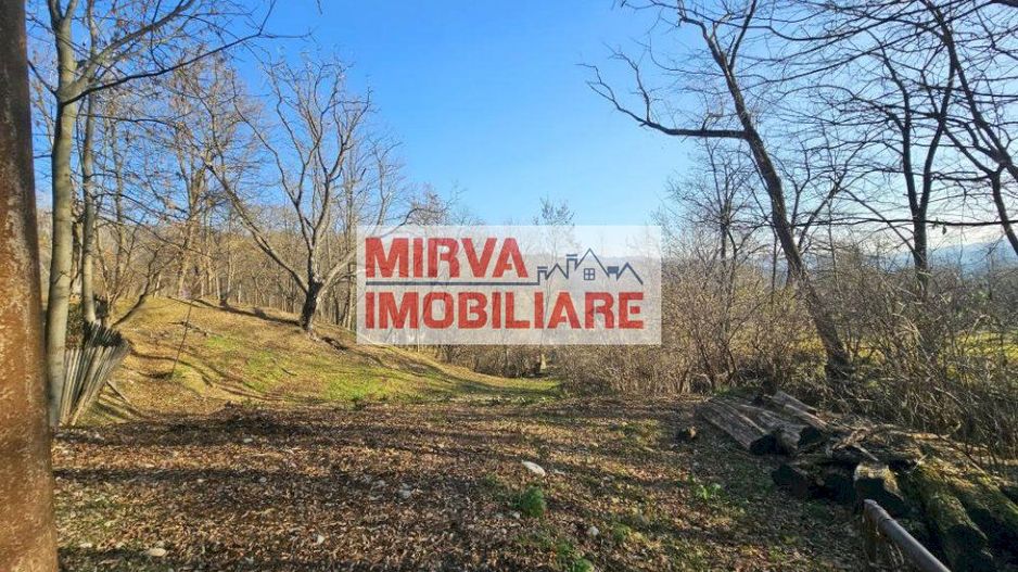 Vanzare casa plus anexa, teren 3843 mp, in Sat Pietriceaua - Poză 3