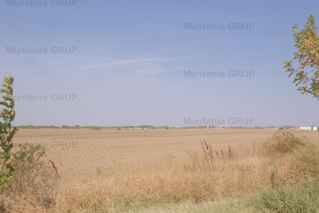 Mihailesti, vav de piscina Davinot, 57.000 mp. teren cu desch. la DN6 - Poză 9