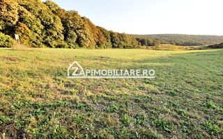 De vanzare 2 terenuri de 29.500 mp si 1.400 mp.29 euro mp - Poză 2