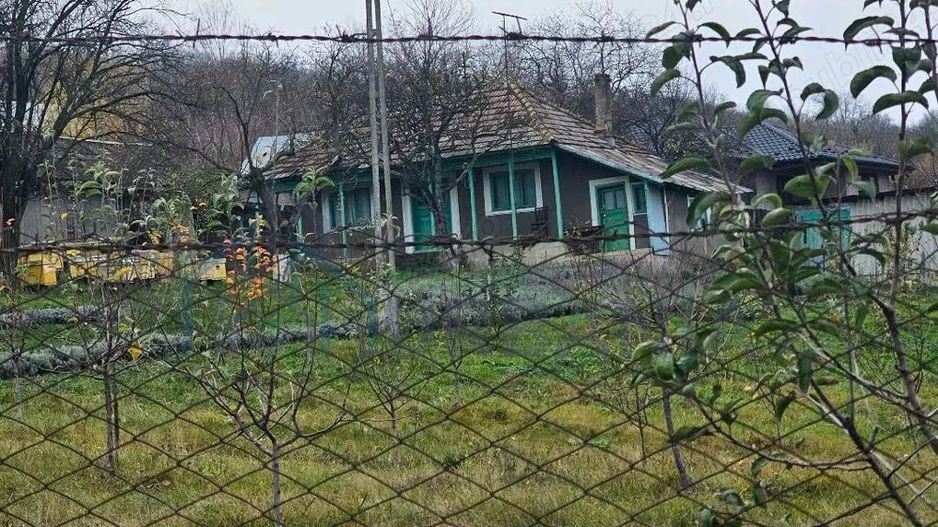 Casa + teren generos 5000 mp intravilan cu livada tanara si vita de vie productiva. - Poză 3