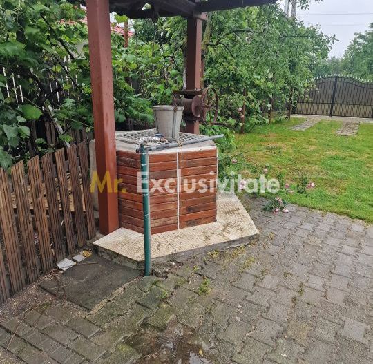 Gospodarie autentic romaneasca-Lunca Corbului, Ciesti! - Poză 5