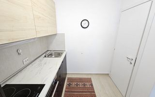 Apartament cu o camera de inchiriat, Hils Pallady - Poză 14