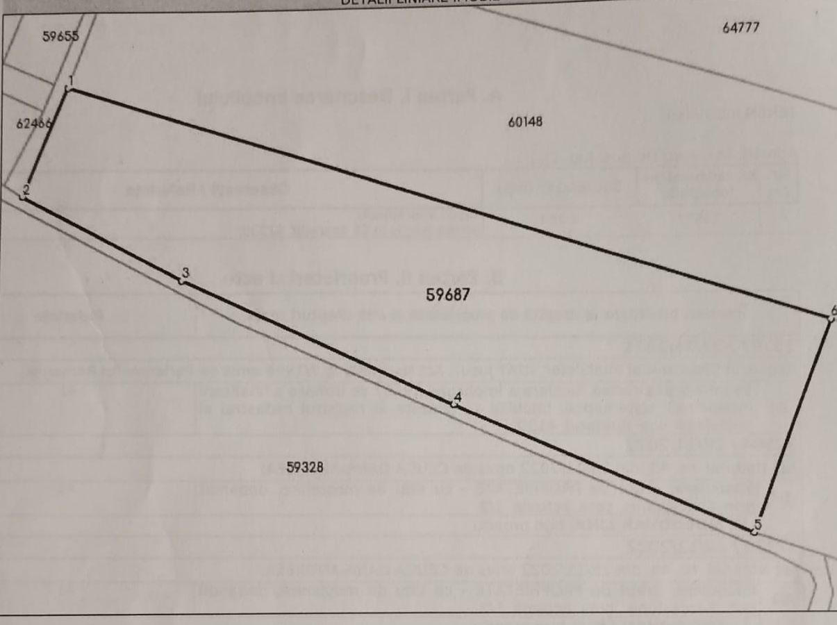 Teren Intravilan | Jucu de Mijloc | Investitie | 8202 mp - Poză 2