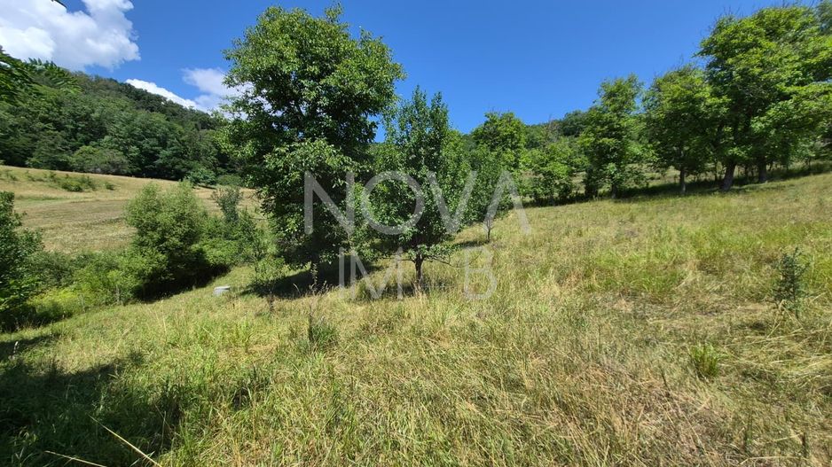 Casa individuala cu teren generos – 8.356 mp – Tichindeal, jud. Sibiu - Poză 45