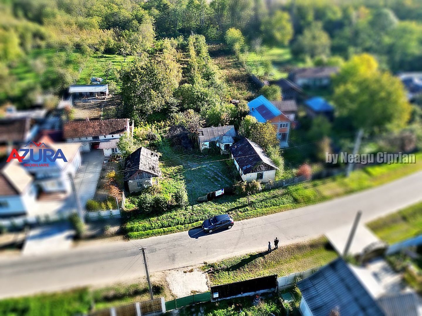 Vanzare teren 3300 mp, intravilan, Albota - Mares - Poză 6