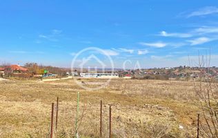 Teren 130.000 mp de vanzare in Paleu, Oradea