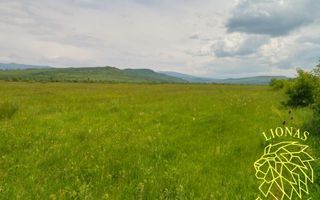 Teren 13100 mp-parcelabil-ideal cabana/agricultura-Orheiul Bistritei - Poză 1