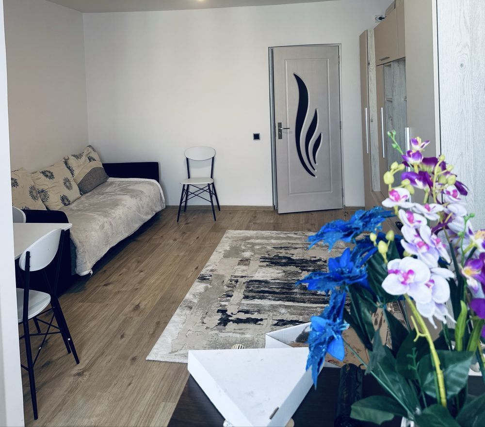 1 camera-Renovată și mobilată-30 mp- Nicolae Grigorescu - Poză 2