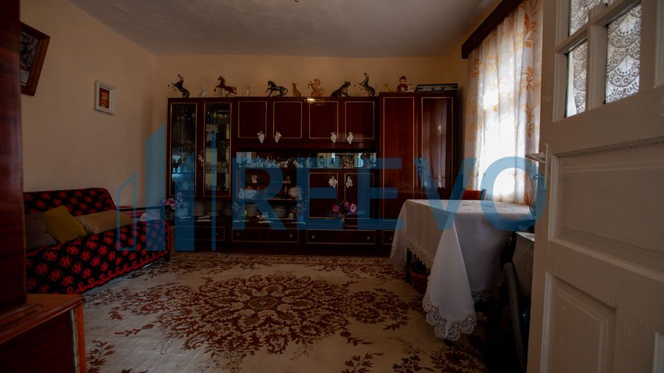 Casa si teren 3365mp Sascut - Poză 6