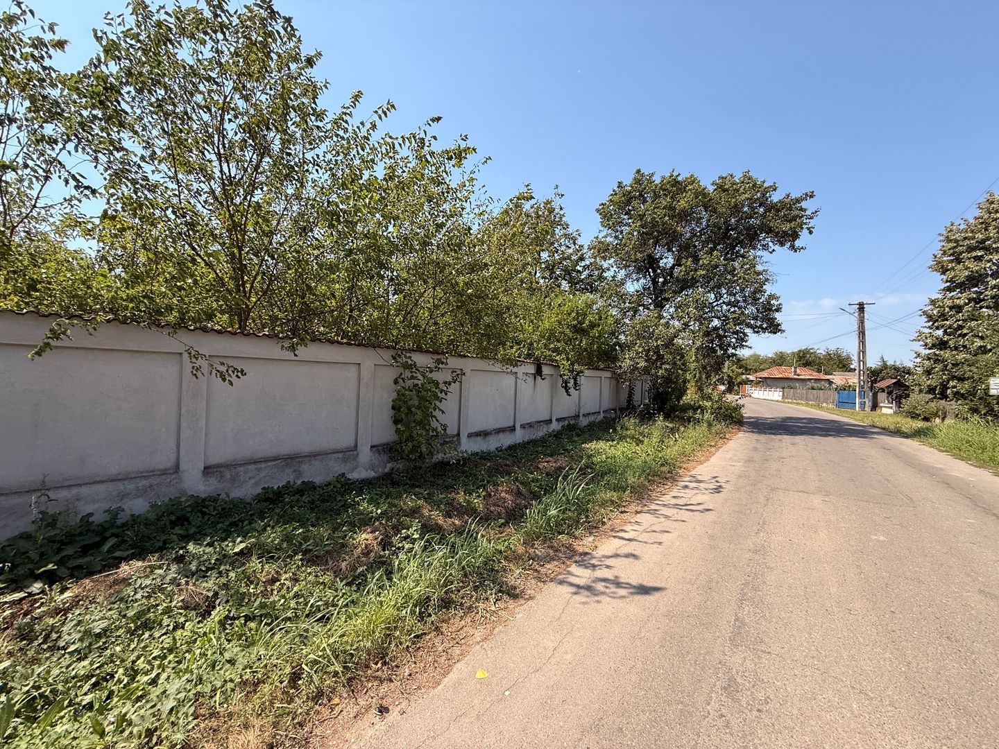 Teren 7808mp Bolovani - comuna Cornățelu (COMISON ZERO) - Poză 8