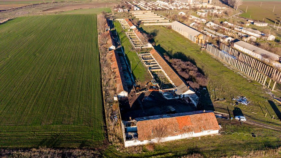 Teren 1.15 HA lângă Autostrada – Nădlac | clădiri+utilități - Poză 1