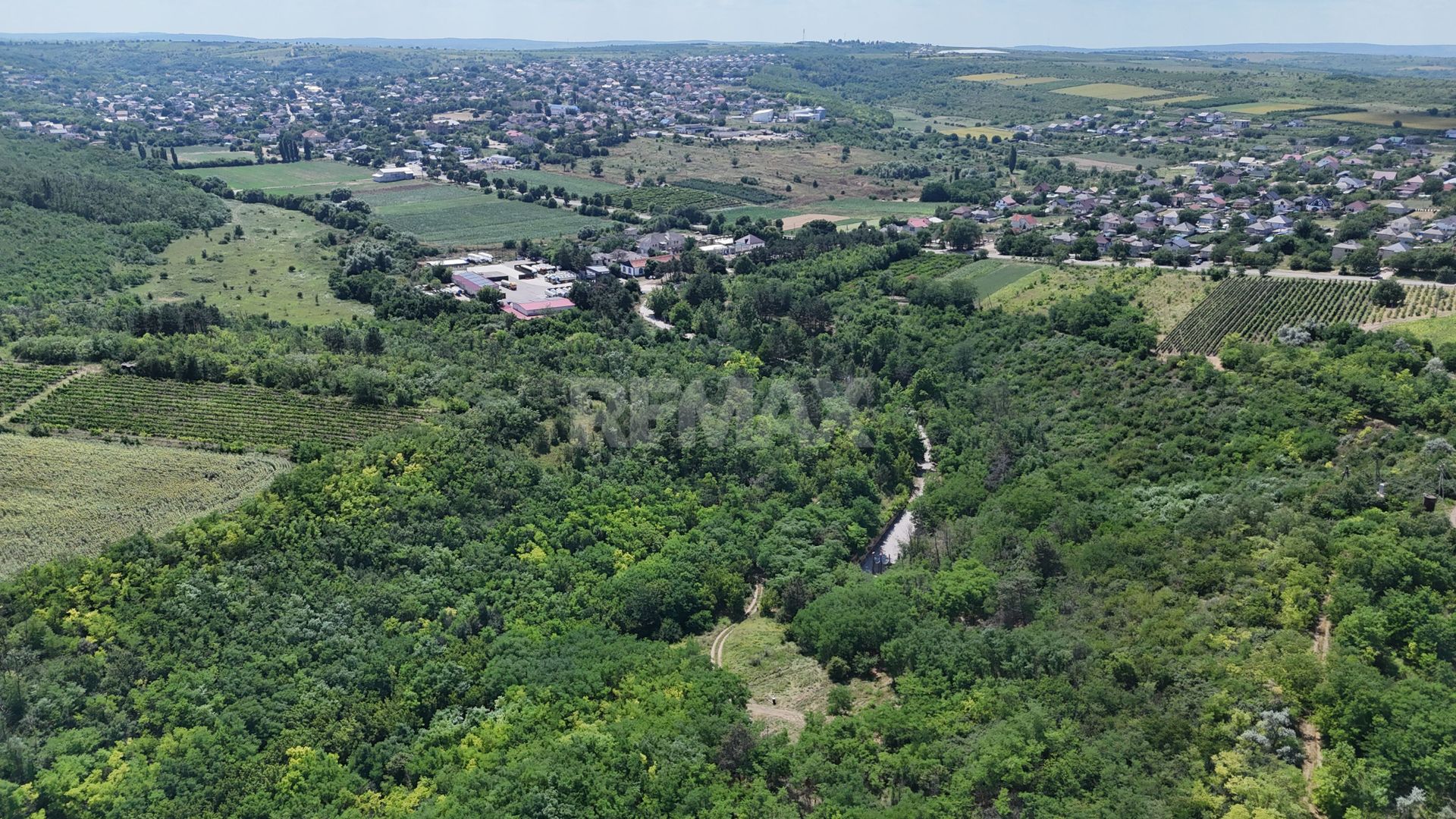 Teren de 37.5 ari în inima pădurii – Oportunitate unică de investiție lângă Crama Mileștii Mici! - Poză 3