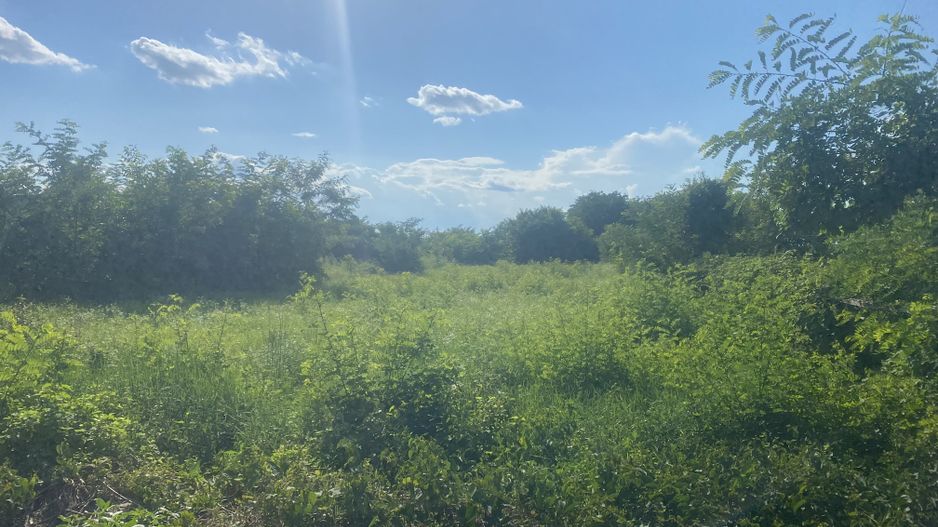 Vanzare teren intravilan cu dubla deschidere - Sacuieni - Poză 6