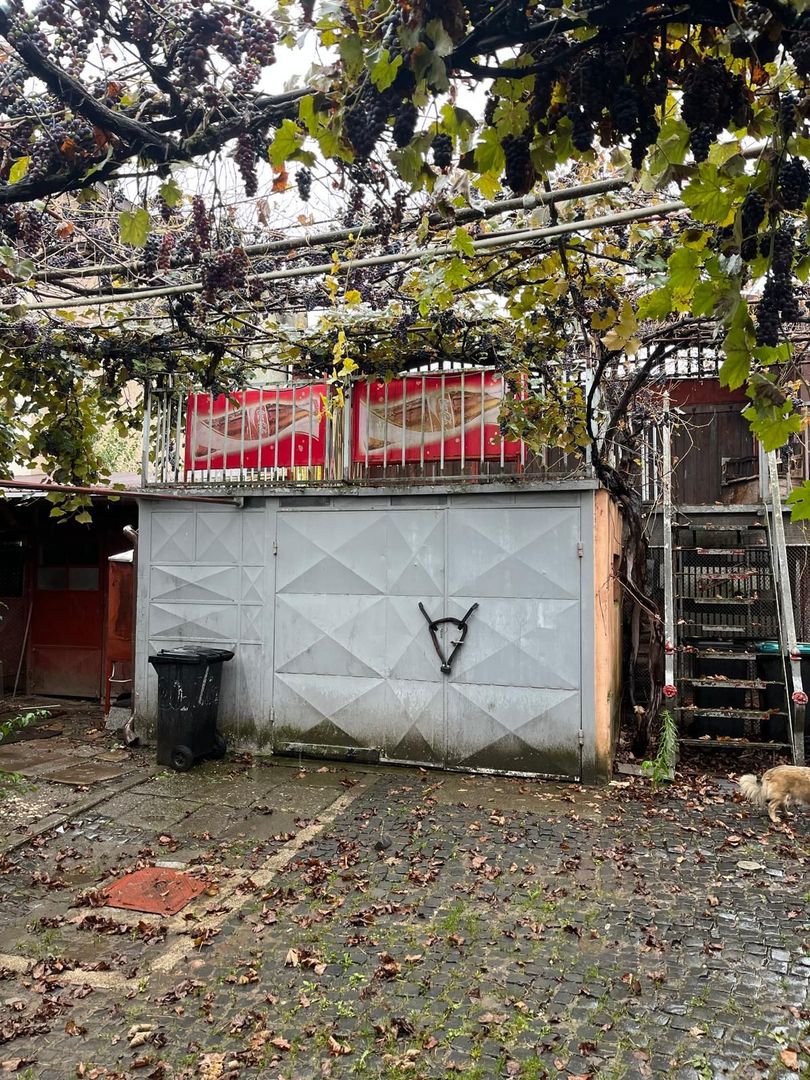 Casă de vânzare în Sânpetru Vechi - singur în curte, garaj, foișor - Poză 15