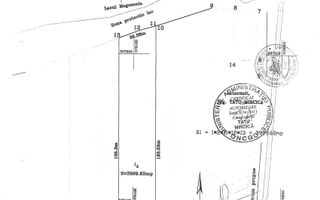 Teren 4000mp Mogosoaia|Strada Eugen Barbu|deschidere lacul Mogosoaia - Poză 4