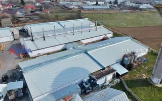 COMISION 0% - HALE Calinesti Arges - Poză 11