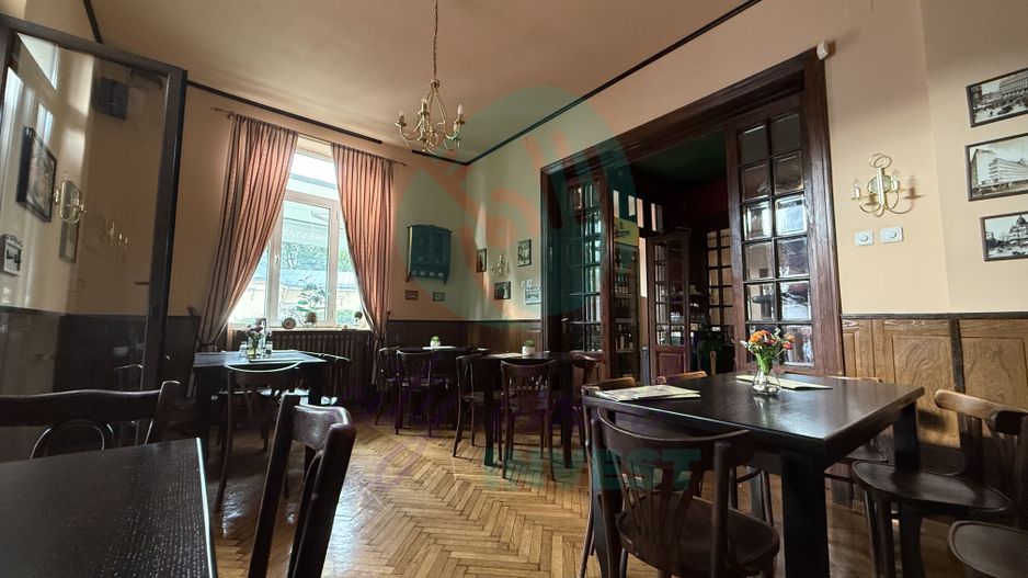 Grădina Icoanei – vilă cu potențial multiplu - Poză 2