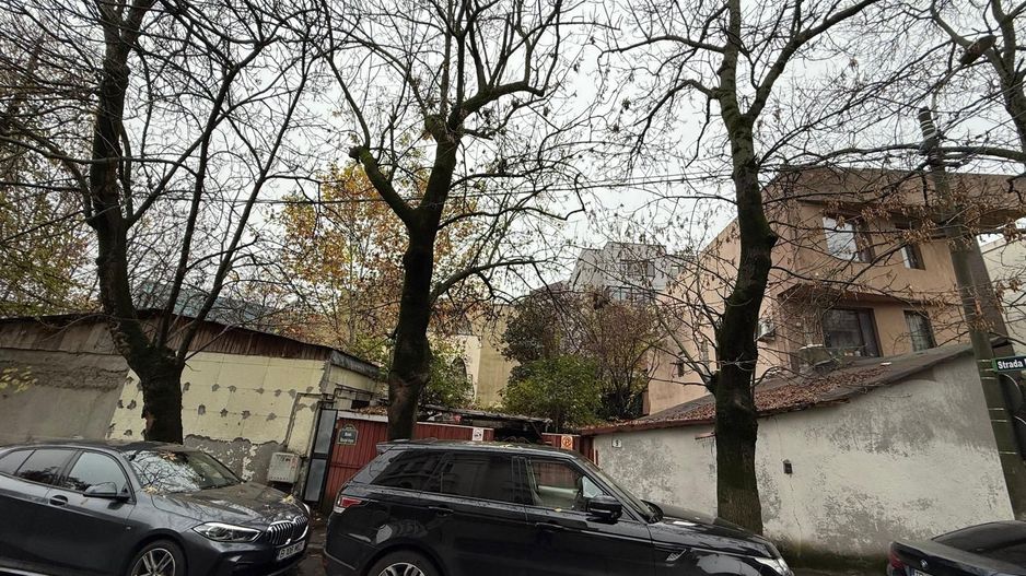 Teren Herastrau - Poză 6