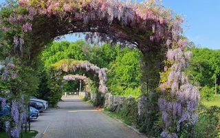 Avangarde Forest 4 - Vila 5 camere | Mobilata complet - Poză 4