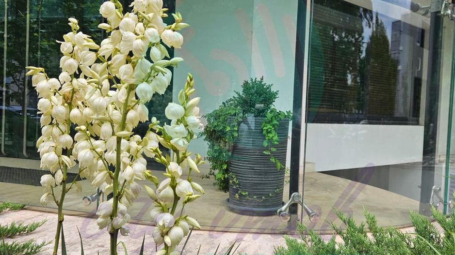 Showroom / Spațiu 145 mp, fațadă sticlă | Ultracentral – Unirii - Poză 5
