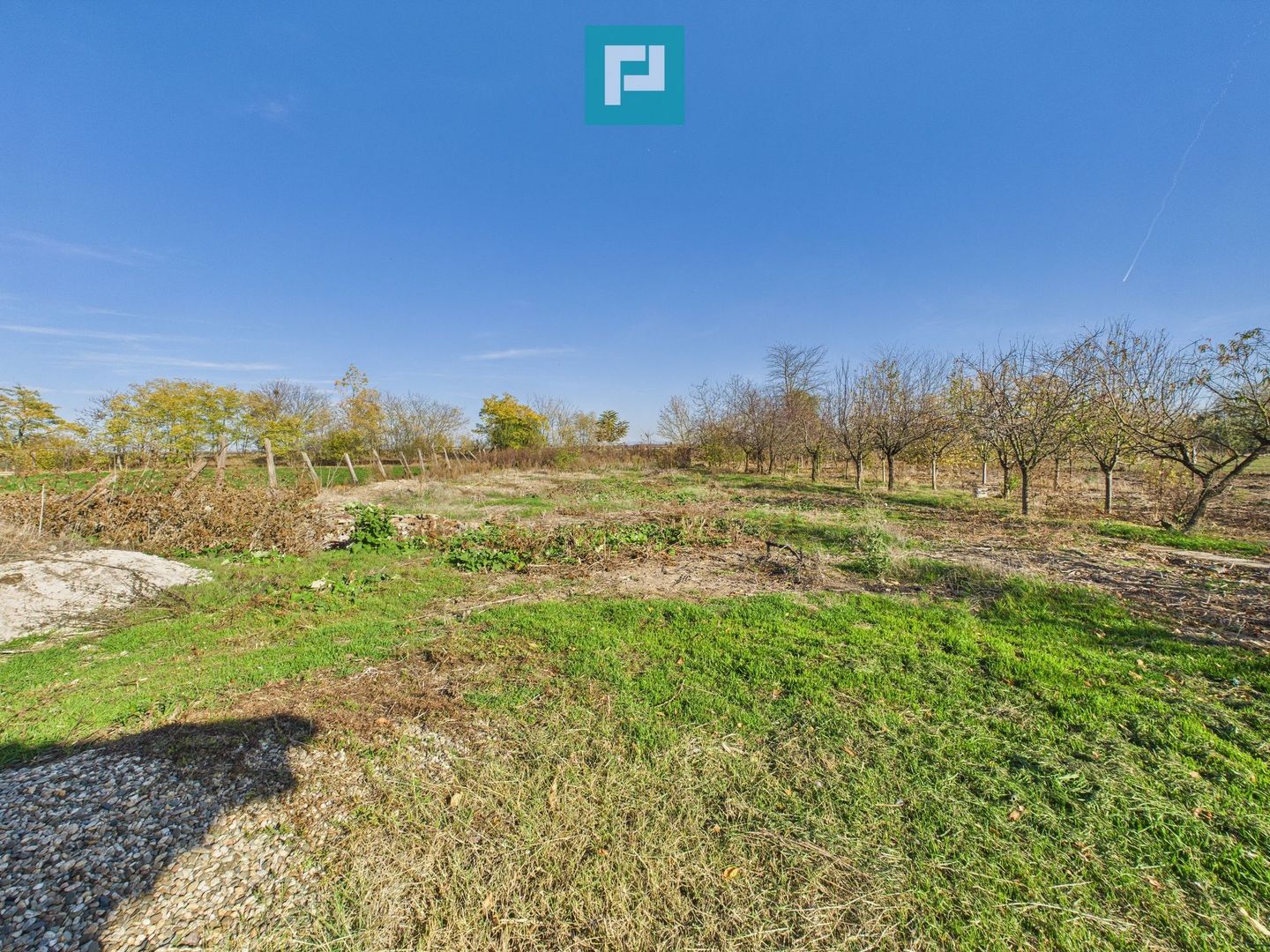 Proprietate impresionantă de vânzare in Nădab - Poză 30