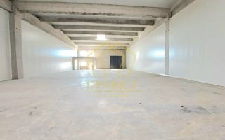 Spatiu tip Hala Noua I Sanandrei - Poză 3