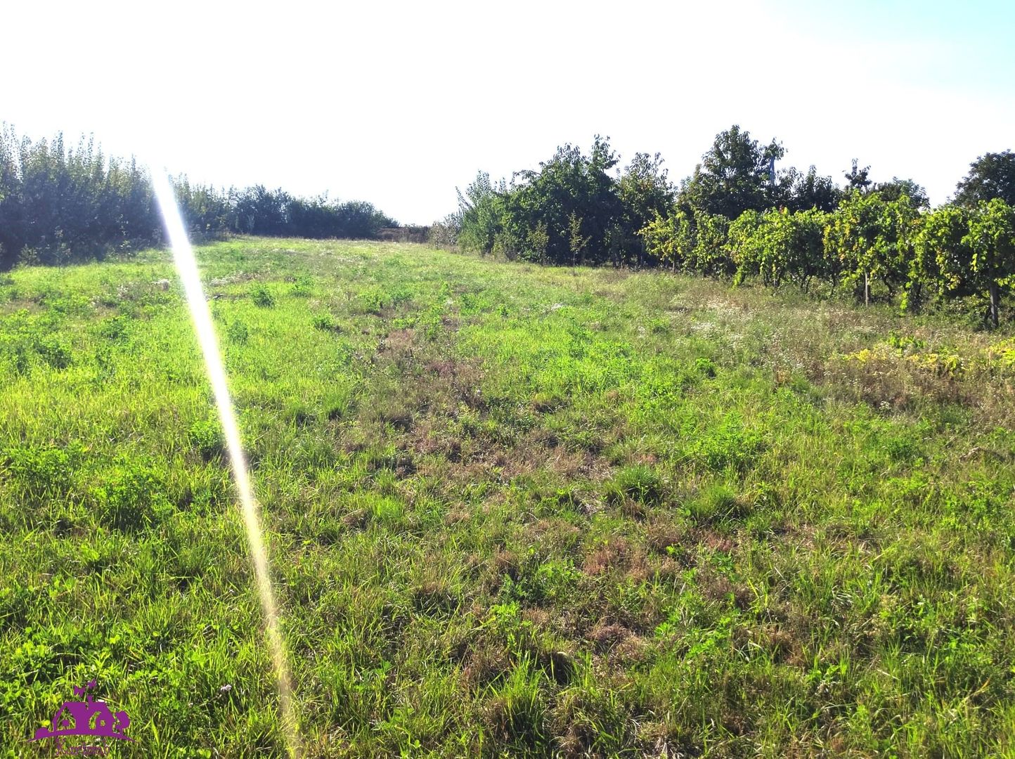 Casa Biharia - Poză 4