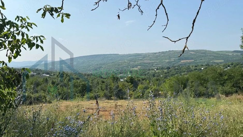 Teren intravilan de vanzare in Comarna, 4200 mp, asfalt si curent la limita, 20 km de Iasi - Poză 1