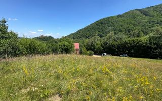 Teren intravilan 4600mp - 55 EUR/mp - EXCLUSIVITATE CISNADIOARA - COMISION 0% - Poză 8