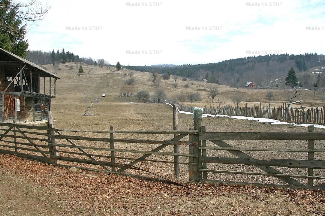 VALEA DOFTANEI - Traisteni, langa Conacul Dascalu, vanzare 2.537 mp. teren - Poză 17